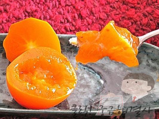 숙취 속울렁 파워에이드 숙취해소법