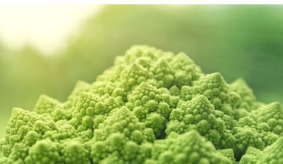 면역력을 높이는 음식