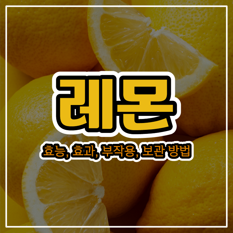 레몬에 대한 모든 것! 효능, 효과, 부작용, 보관 방법