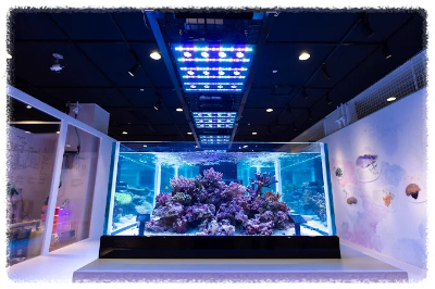 오사카 가이유칸 수족관