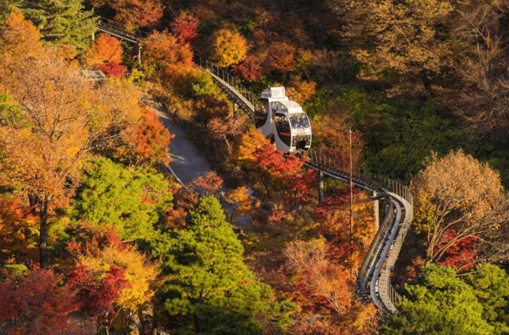 화담숲 단풍축제 입장료 ❘ 모노레일 예약
