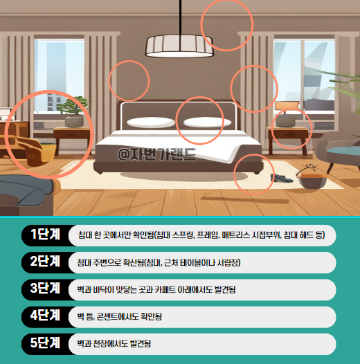 빈대-서식지-발견-이동방법