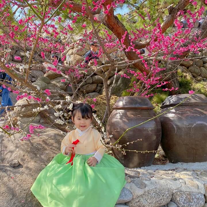 한복입고-홍매화-아래에서