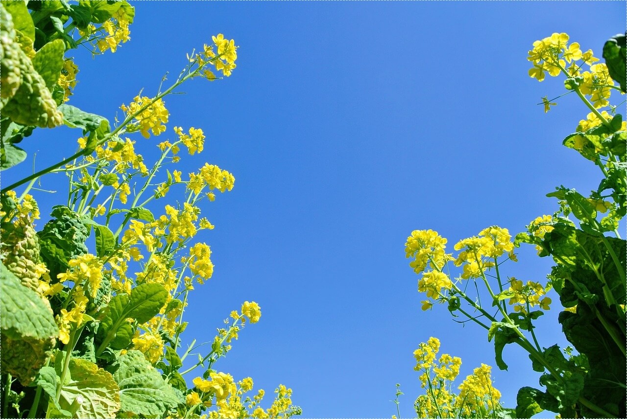 1억 은행 예금이자