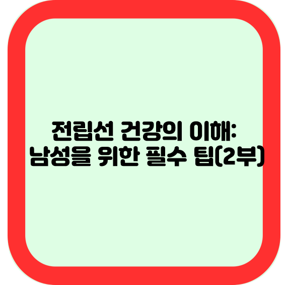 전립선 건강의 이해: 남성을 위한 필수 팁(2부)