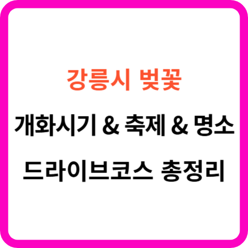 강릉 벚꽃 개화시기 축제 명소 드라이브 코스 가이드 썸네일