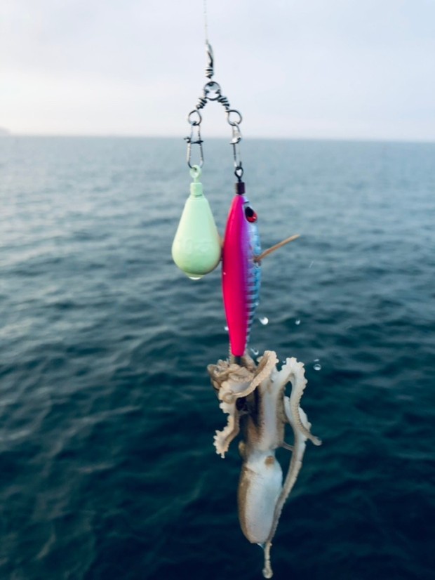 서천 동백꽃 주꾸미 축제