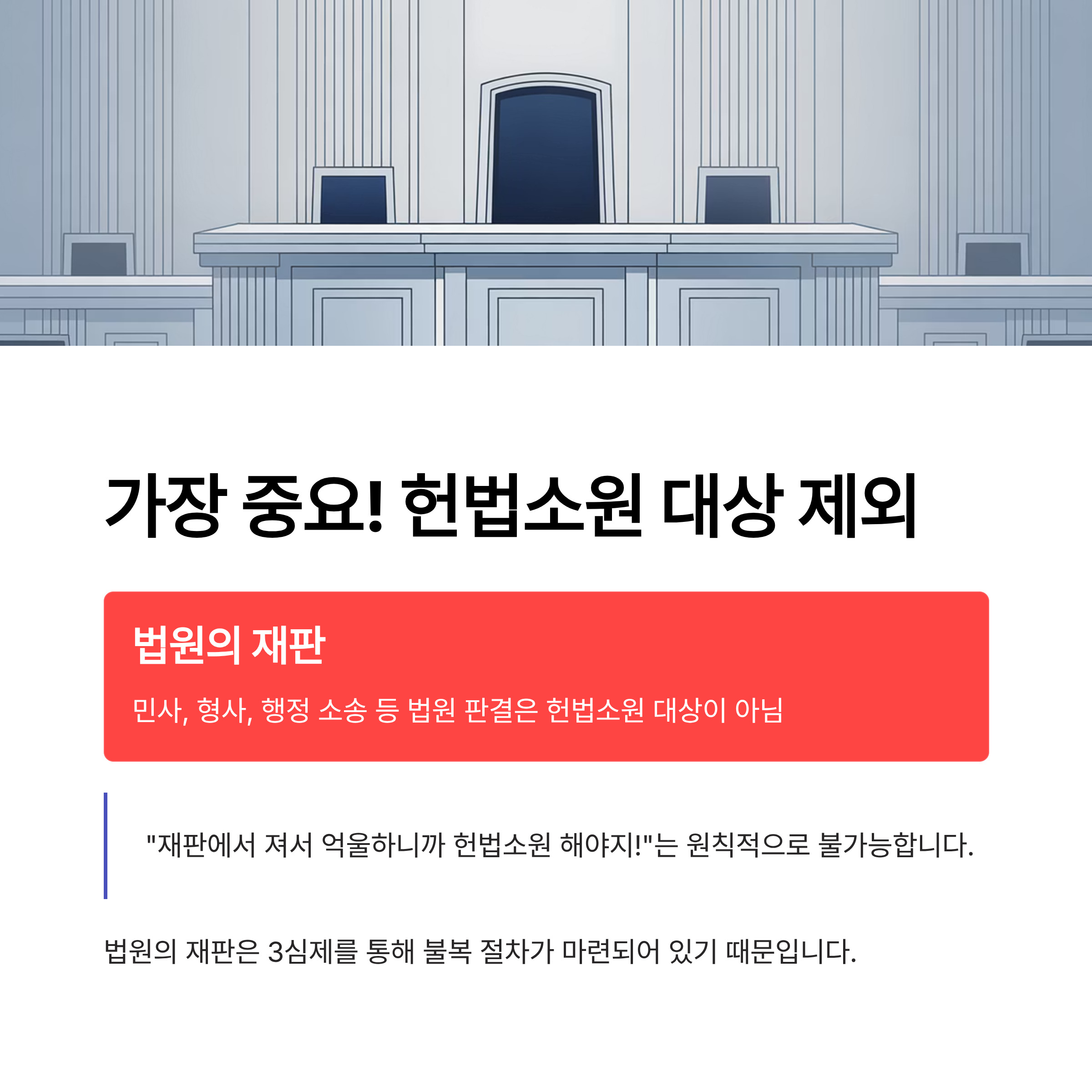 헌법소원 대상
