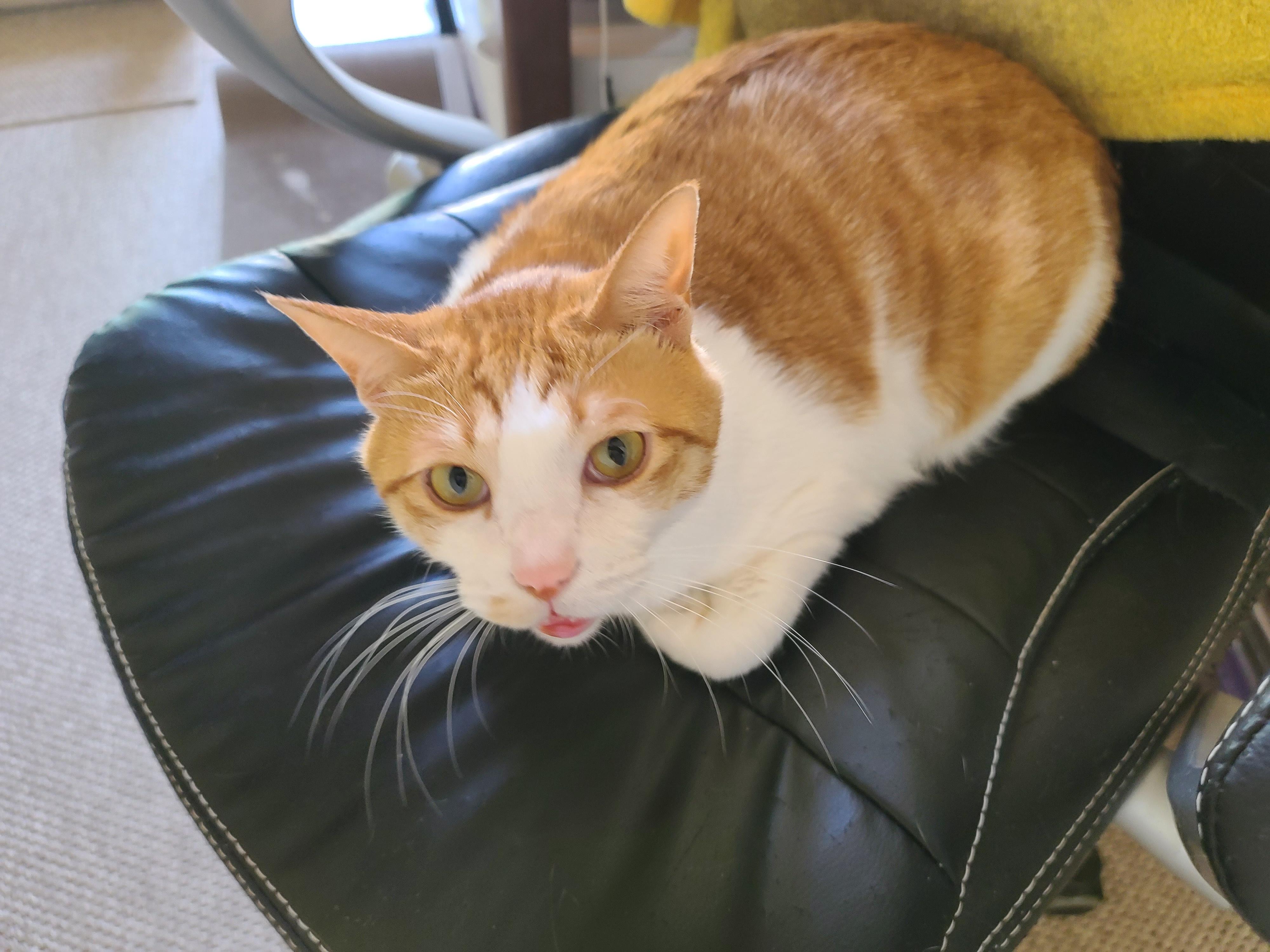 누나랑 처음으로 투닥거린 막둥이에게 가봤더니..(feat.따박따박 말대답하는 막둥이)