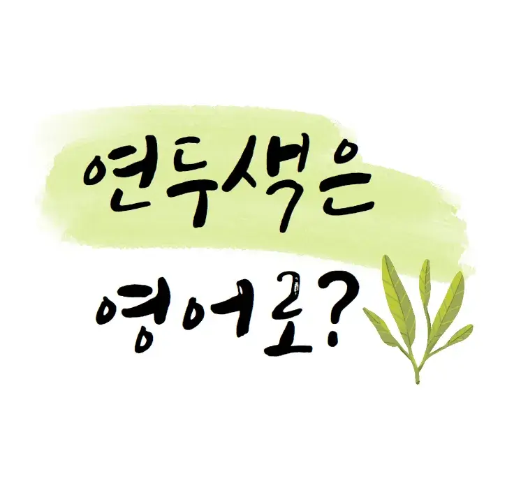 연두색-영어-로