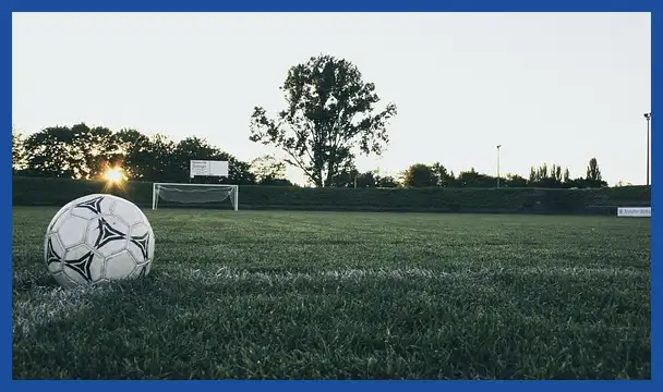 축구 국가대표 감독 연봉 순위: 클린스만, 만치니, 벤투까지 완벽 분석