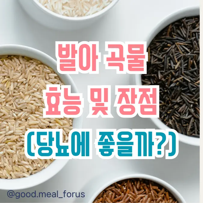 발아곡물_효능_장점_당뇨에좋을까?_썸네일