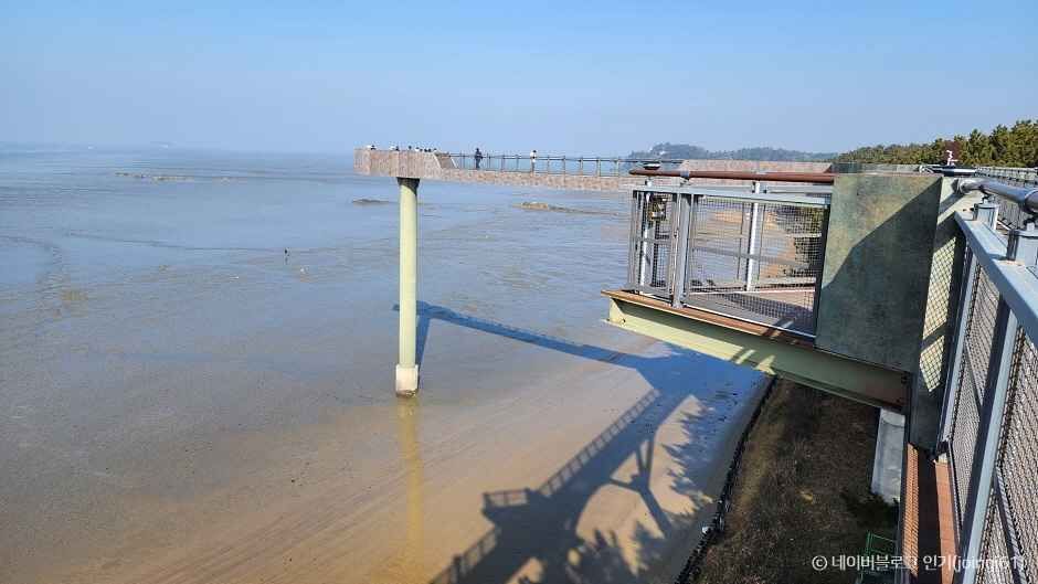 서천 가볼만한곳 베스트10