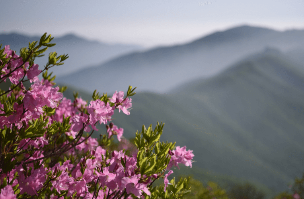 5월 경상도 여행 추천 가볼만한 곳&amp;#44; 축제 일정 