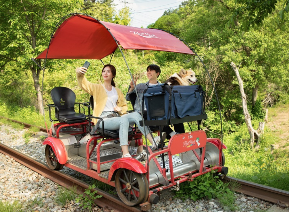 춘천 경강레일바이크 펫 바이크 강아지와 함께하는 특별한 여행
