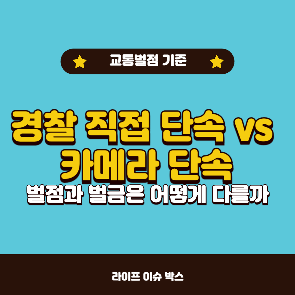 경찰 직접 단속 vs 카메라 단속