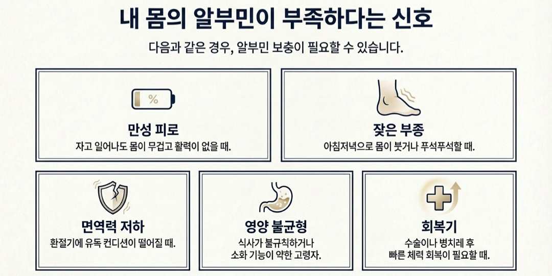 알부민영양제추천-사진4