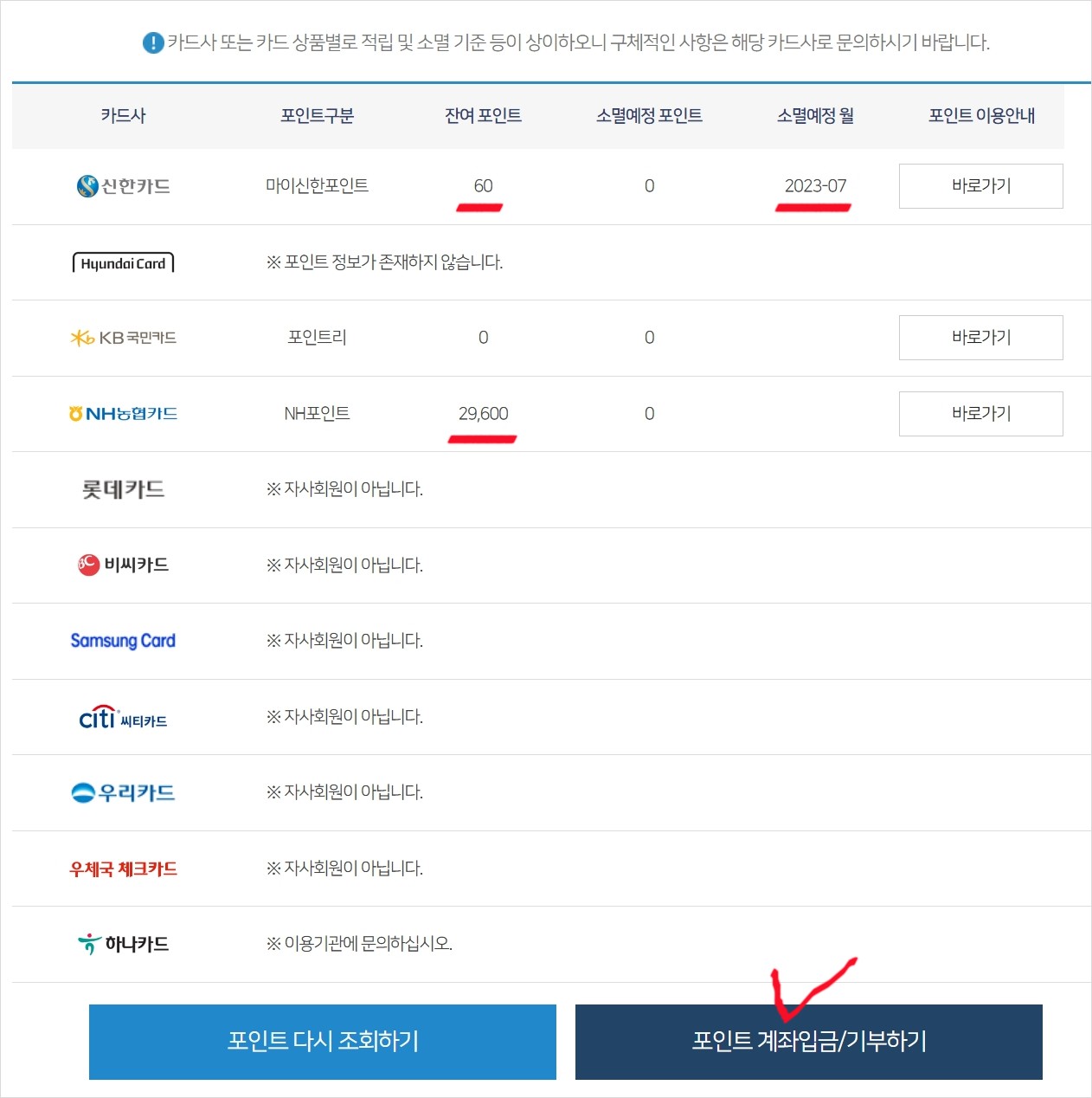 나의-포인트-확인-화면