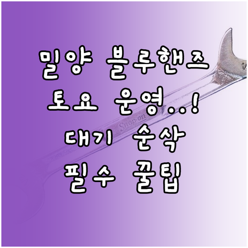 밀양 블루핸즈 토요일 운영 현황과 대..