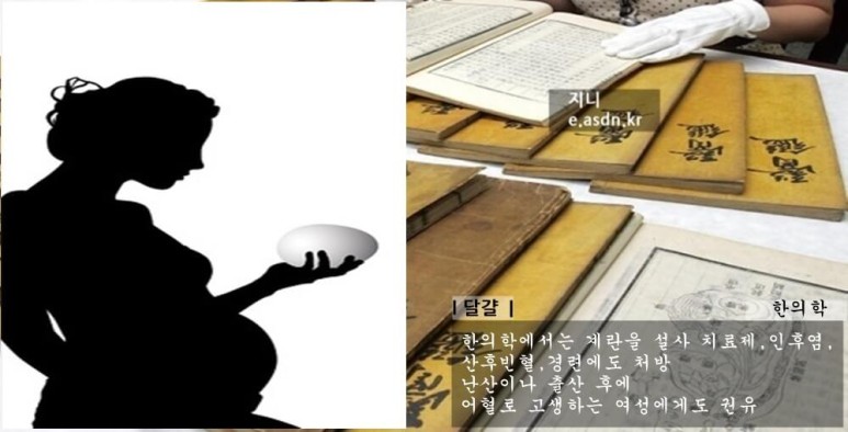 계란(달걀)효능 13가지와 부작용 총정리...음식건강이야기 아홉번째