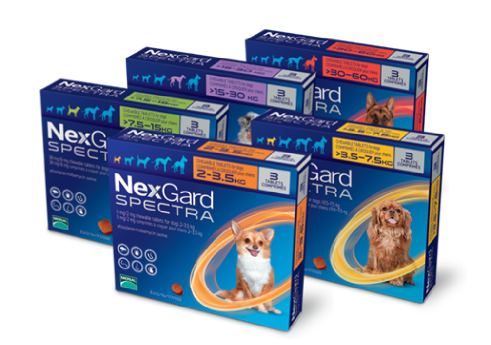 넥스가드 스펙트라