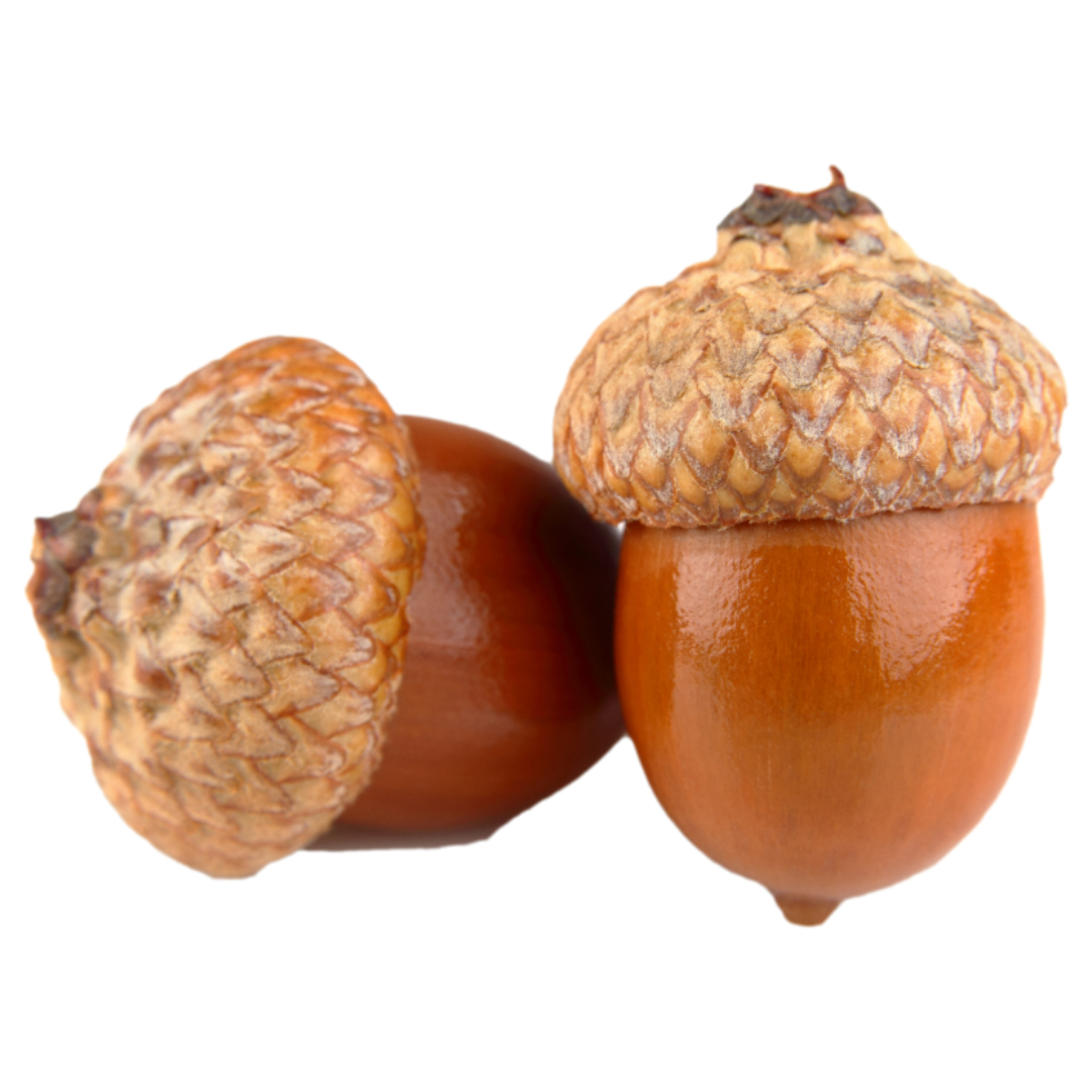 여주와 관련된 사진입니다.