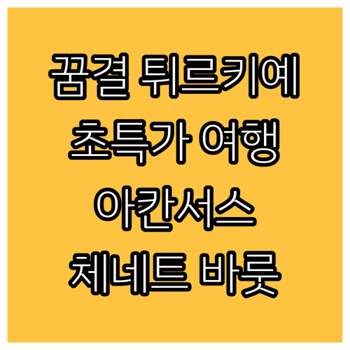 아칸서스 & 체네트 바룻 컬렉션 울트