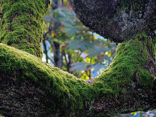 제습기 선물 제습량 연속배수 소비전력 장마철 실사용 후기 비교_9