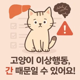 고양이 간성뇌병증 초기증상, 이상행동, 치료_30
