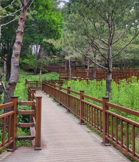 낙산사-산책로