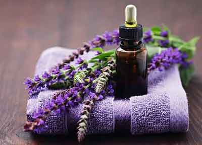 라벤더 목욕용품