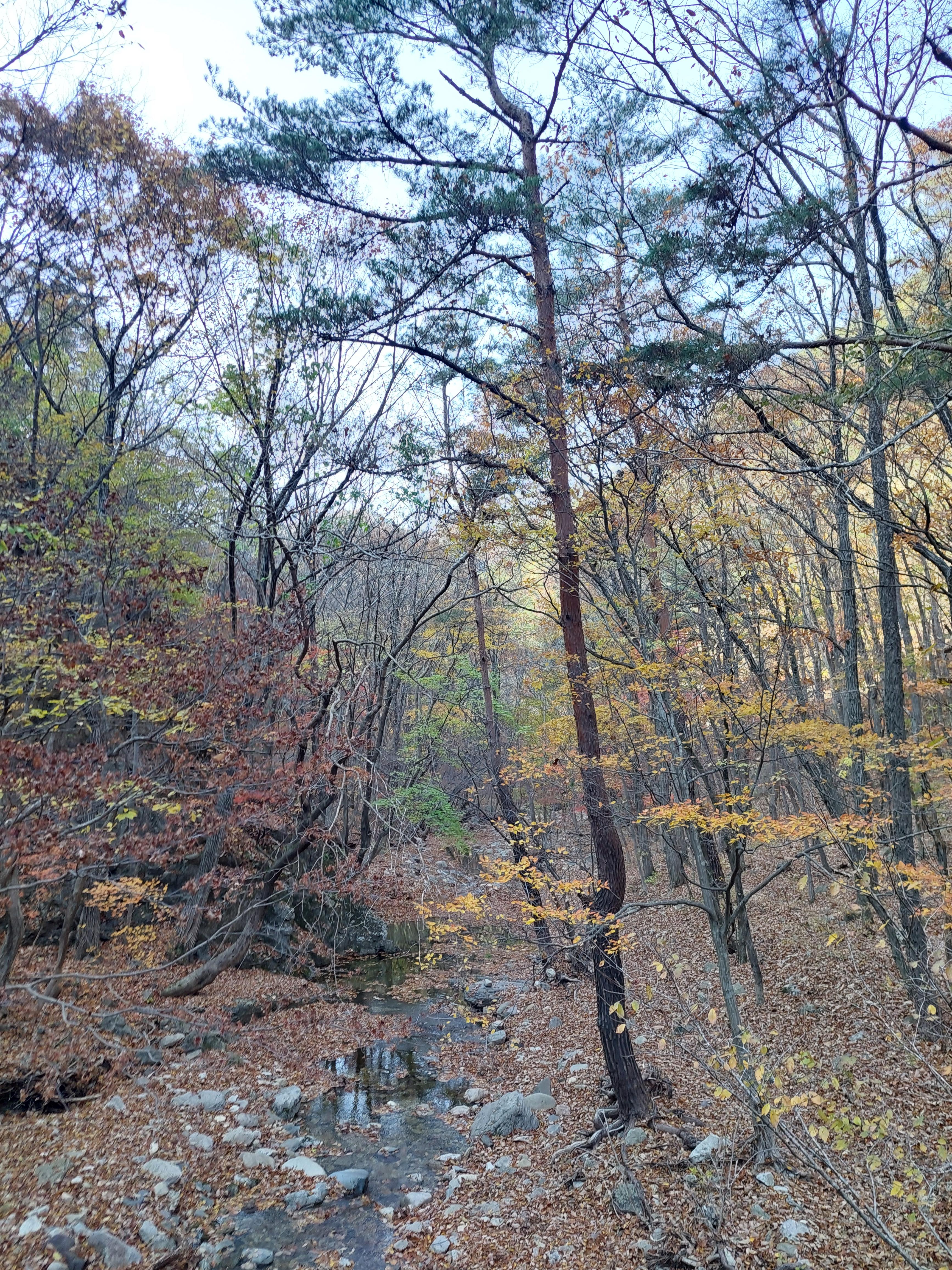 주왕산