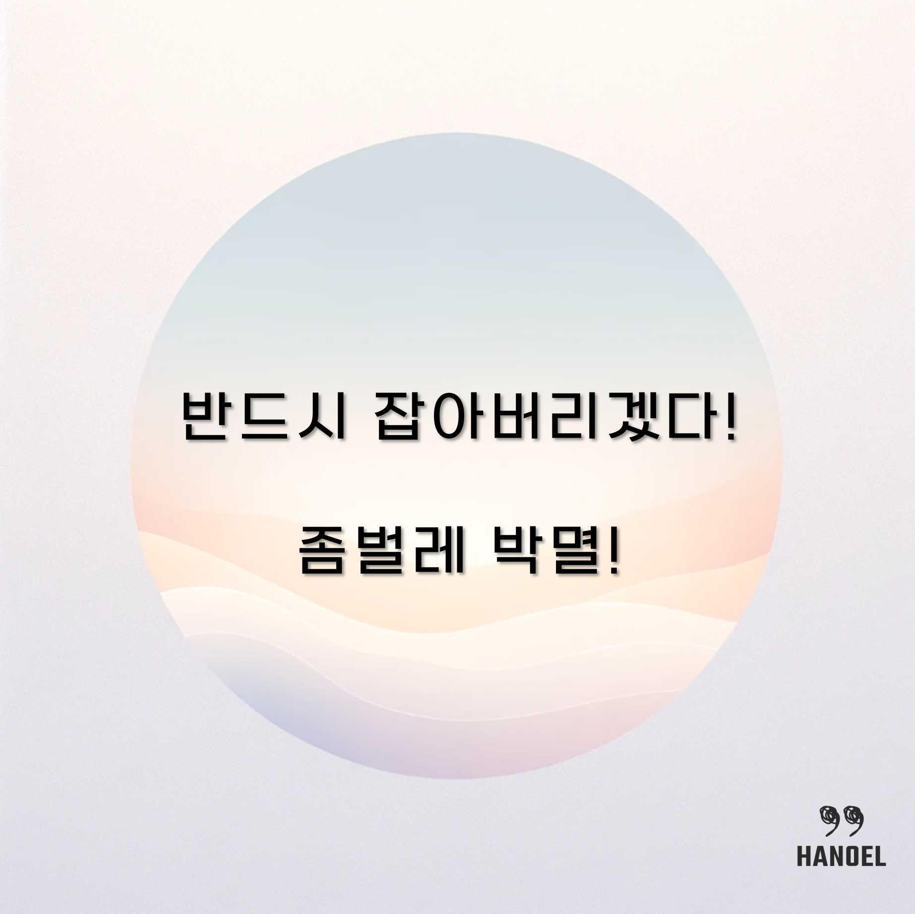 반드시 잡아버리겠다! 좀벌레 박멸! 원인, 퇴치법, 물린자국, 퇴치제 추천