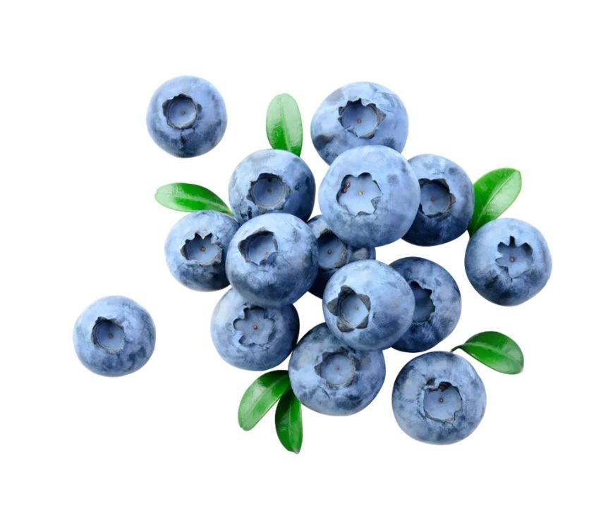 블루베리 효능 부작용