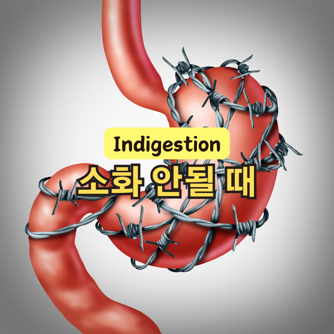 소화 불량 원인과 해결법, 속 편한 하루를 위한 비결