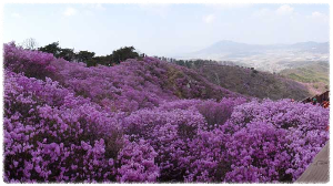 고려산