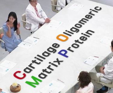 가자추출물 효능 