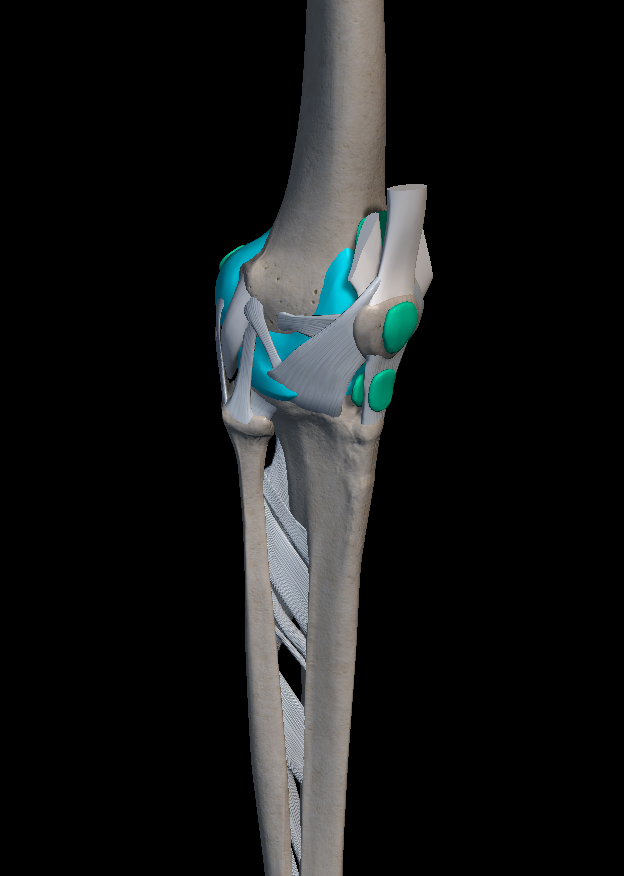 무릎 관절 통증 원인