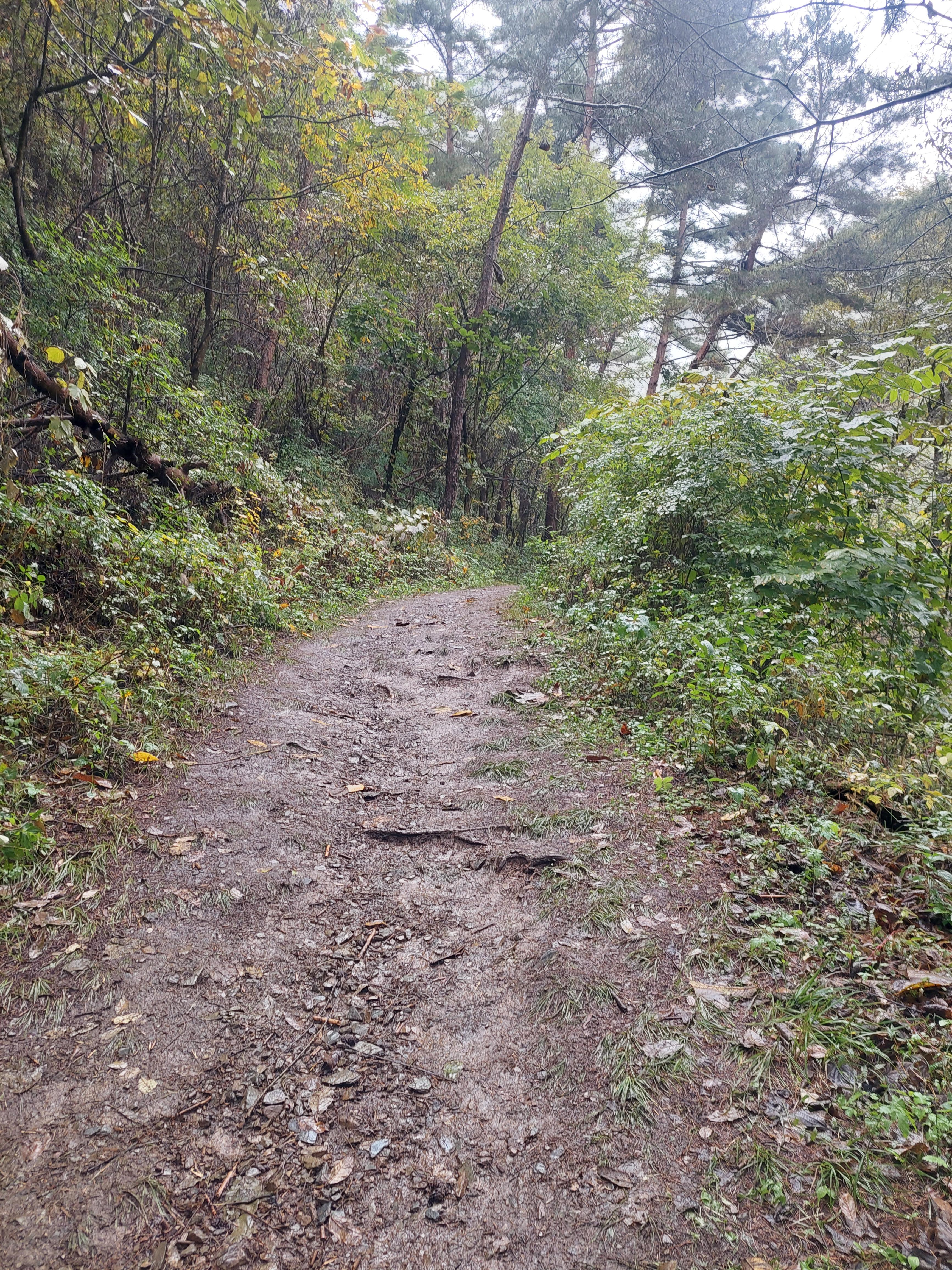 민둥산
