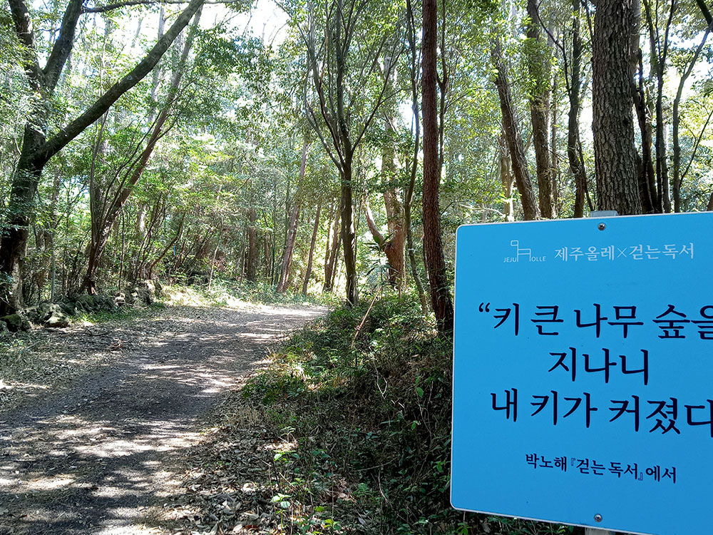 걷는 독서 박노해