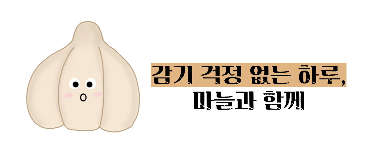 마늘 효능