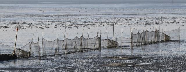 4월 1일, 수산인의 날을 아시나요