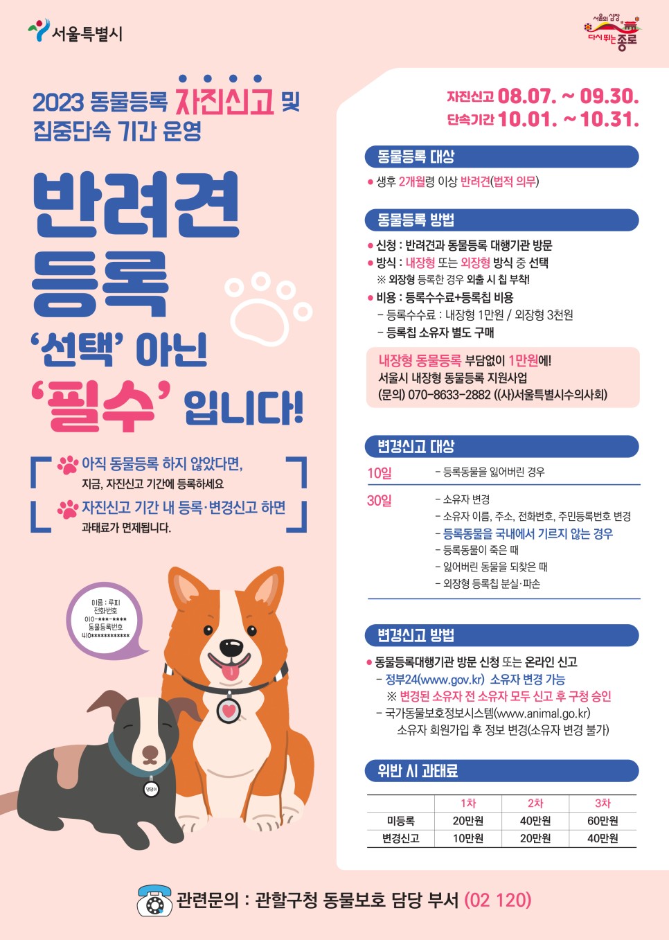 반려견 자진신고