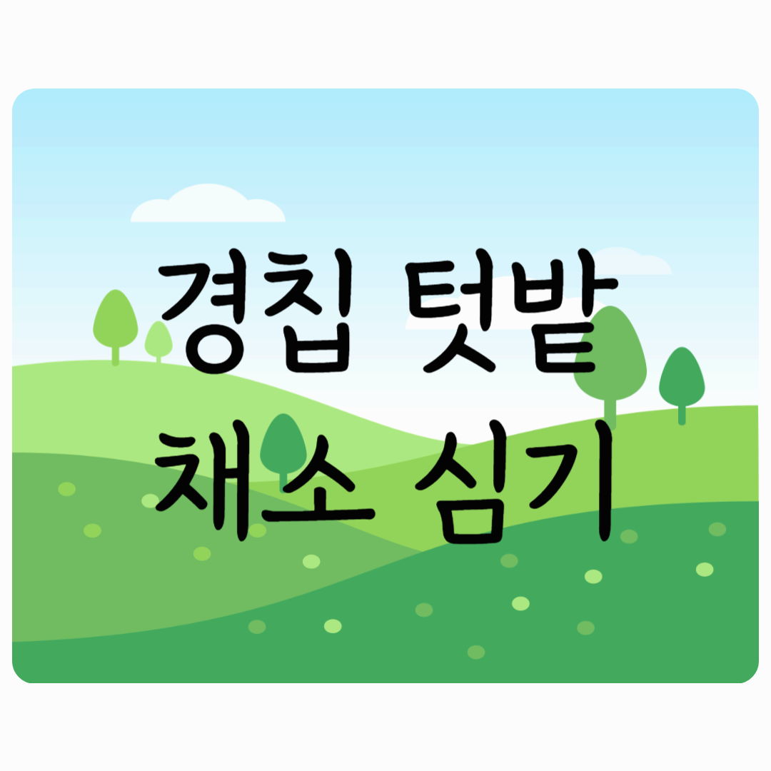경칩 텃밭 채소 심기
