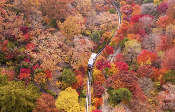 봄&amp;#44;여름&amp;#44; 가을 화담숲