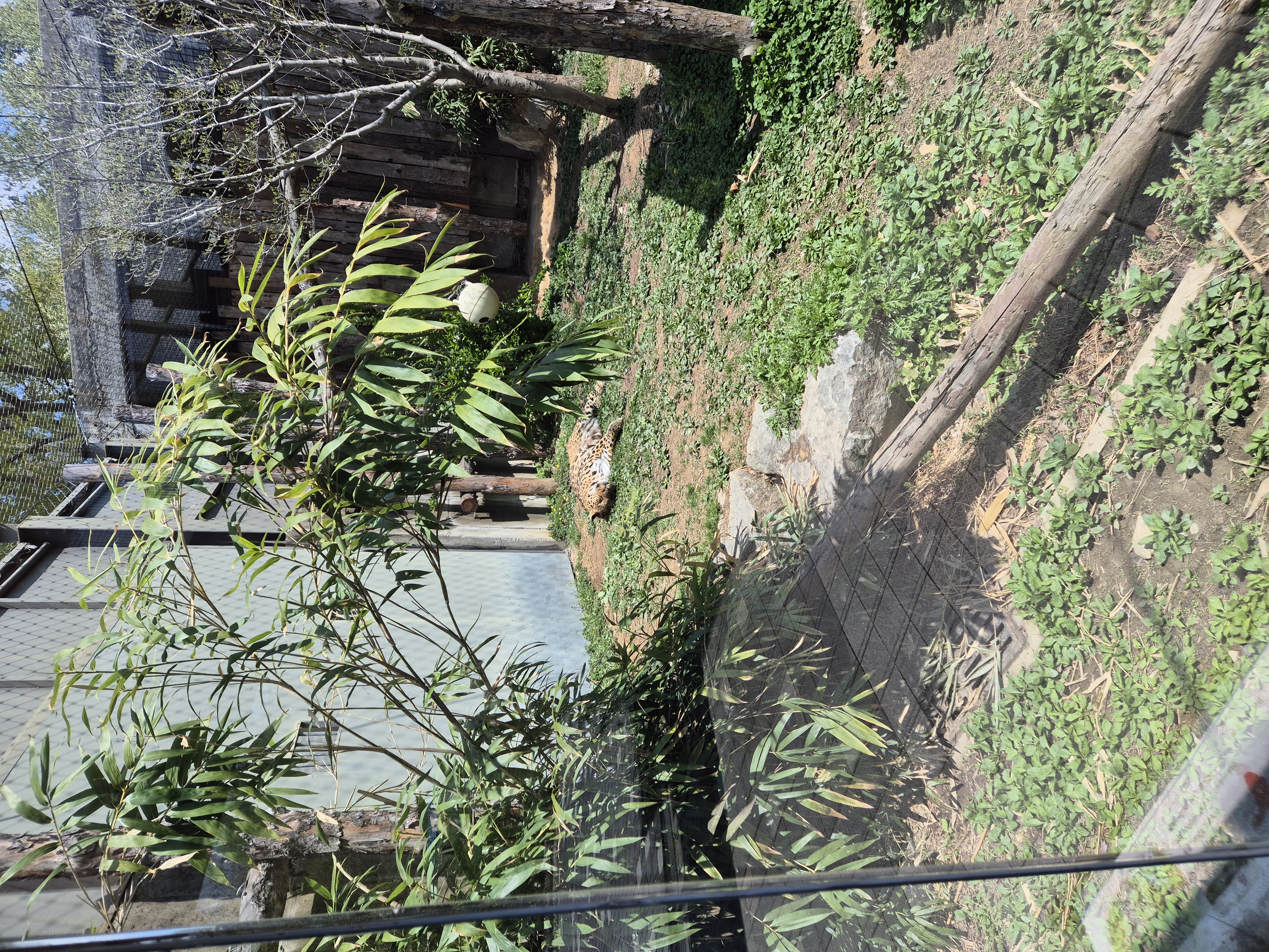 전주동물원 동물친구들