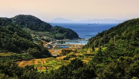 삼시세끼-어촌편-31