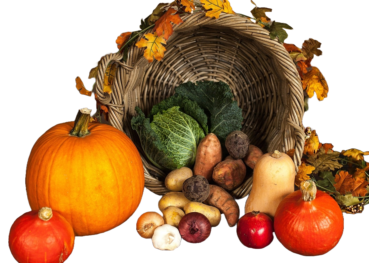 무료 누끼따기 사이트 사진