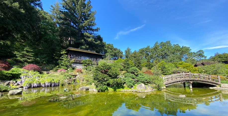 Hakone-en Garden