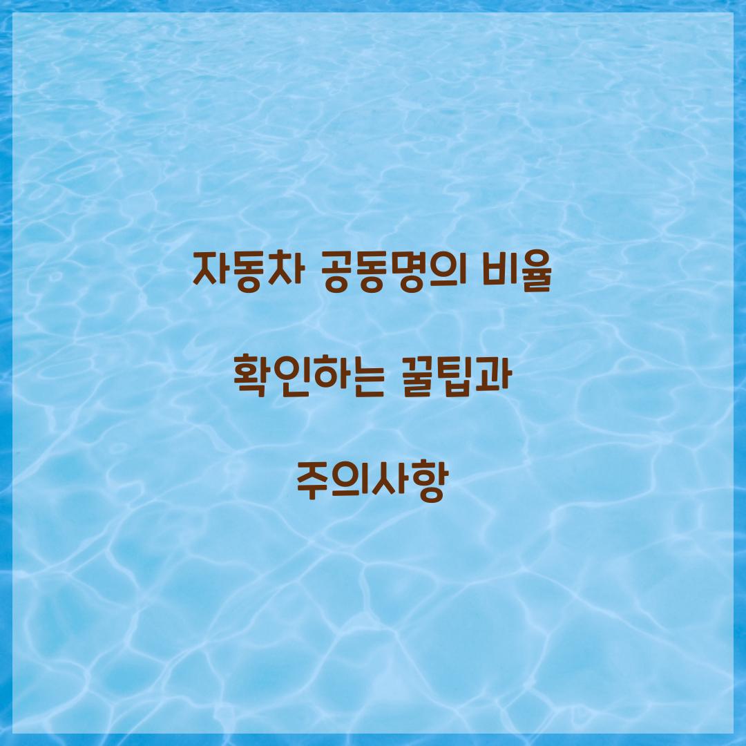 자동차 공동명의 비율